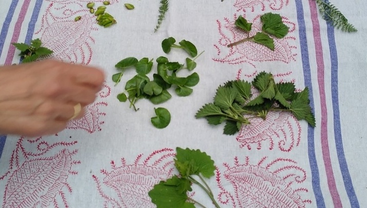 Fotorechte: Elfriede-Maria Reininger